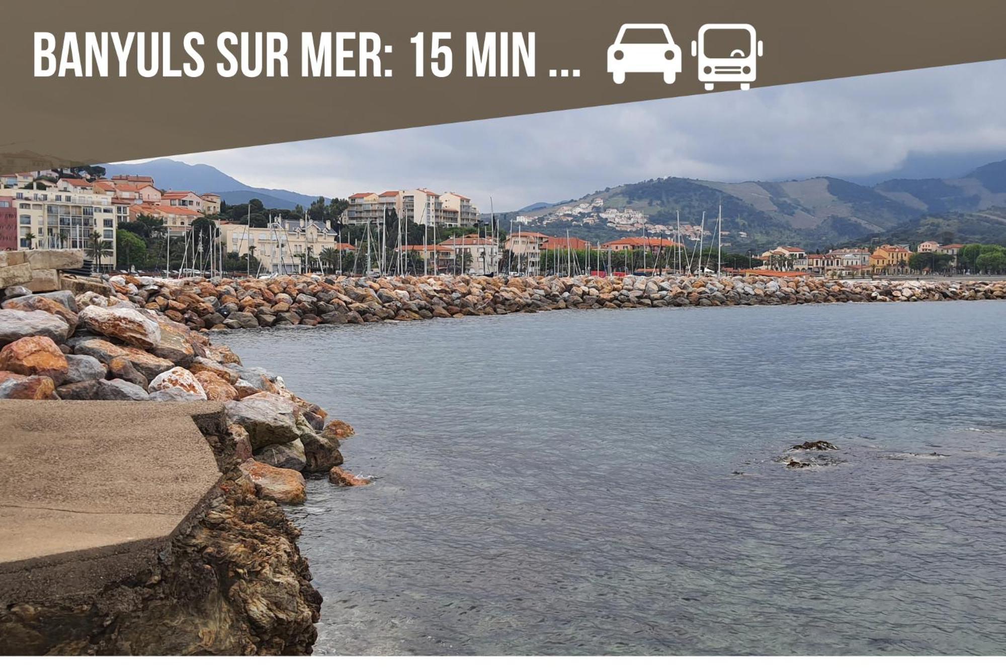 Le Belveze, Emplacement Central Et Calme Port Vendres Exteriör bild